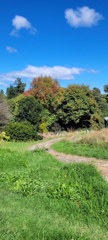 3 Bedroom Property for Sale in Hogsback Eastern Cape